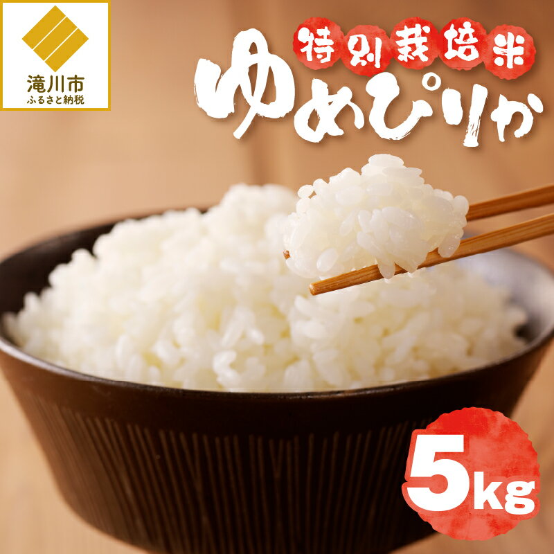 【ふるさと納税】《令和7年産》特別栽培米ゆめぴりか 5kg | 16年連続特A ブランド米 白米 精米 米 お米 こめ 減農薬 単一原料米 ご飯 贈答 ギフト お試し 北海道米 北海道 滝川市