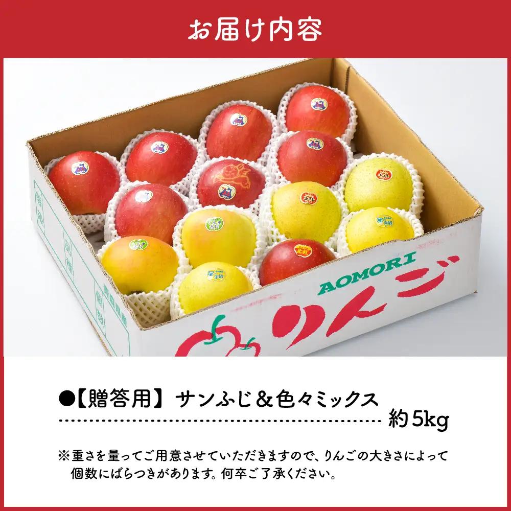 【2026年12月上旬発送】りんご 青森産 約5kg 津軽 完熟 サンふじ ＆ 色々ミックス 贈答用