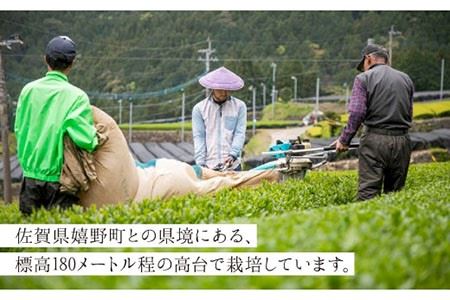 そのぎ茶《茶縁》「つゆひかり」100g×2袋入り 茶 お茶 緑茶 日本茶 茶葉 東彼杵町/東坂こくまる商店 [BCL002] / 茶 お茶 緑茶 日本茶 茶葉 茶 お茶 緑茶 日本茶 茶葉 茶 お茶 