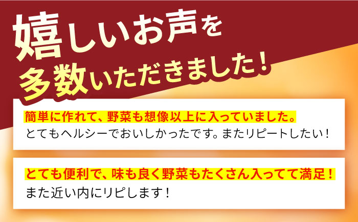 【12回定期便】冷凍 長崎ちゃんぽん 皿うどん セット 4食 （ちゃんぽん1食×2、皿うどん1食×2）/ 本場 スープ付 本格 贈り物 お取り寄せ 具入り / 南島原市 / 狩野食品 [SDE013]