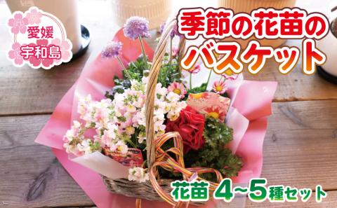 季節の花苗のバスケット ポピー Flowershop Poppy 花苗 花 苗  バスケット 生花 誕生日 記念日 プレゼント Flower フラワー  国産 愛媛 宇和島 K012-125002
