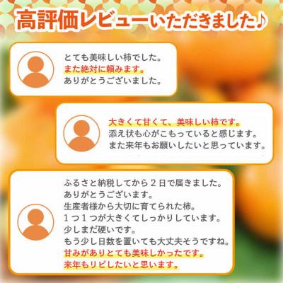 ふるさと納税 あわら市 厳選!種なし!スッキリ甘みの越前柿 18個入 |  | 01