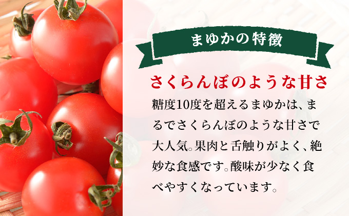 北海道伊達産 ミニトマト まゆか 2kg とまと 甘い 野菜 やさい 人気 新鮮 産地直送 農家直送 先行受付_イメージ3