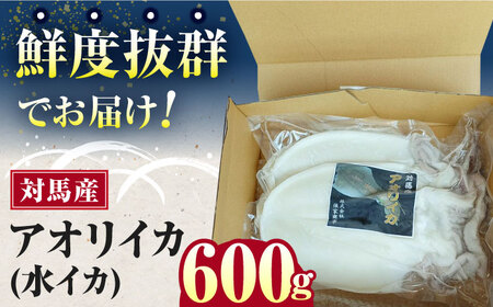 対馬産 アオリイカ 600g《対馬市》【保家商事】烏賊 いか 刺身 海鮮 冷凍[WAA028]