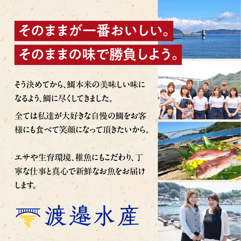 今夜は高級鯛しゃぶセット（10月配送）／ 穂州鯛 ブランド鯛 渡邉水産 しゃぶしゃぶ 鍋 サク 柵 湯引き 皮つき 松皮造り 鮮魚 真鯛 マダイ 鯛 タイ 鯛しゃぶ 刺身 魚 魚介 海鮮 養殖 国産 