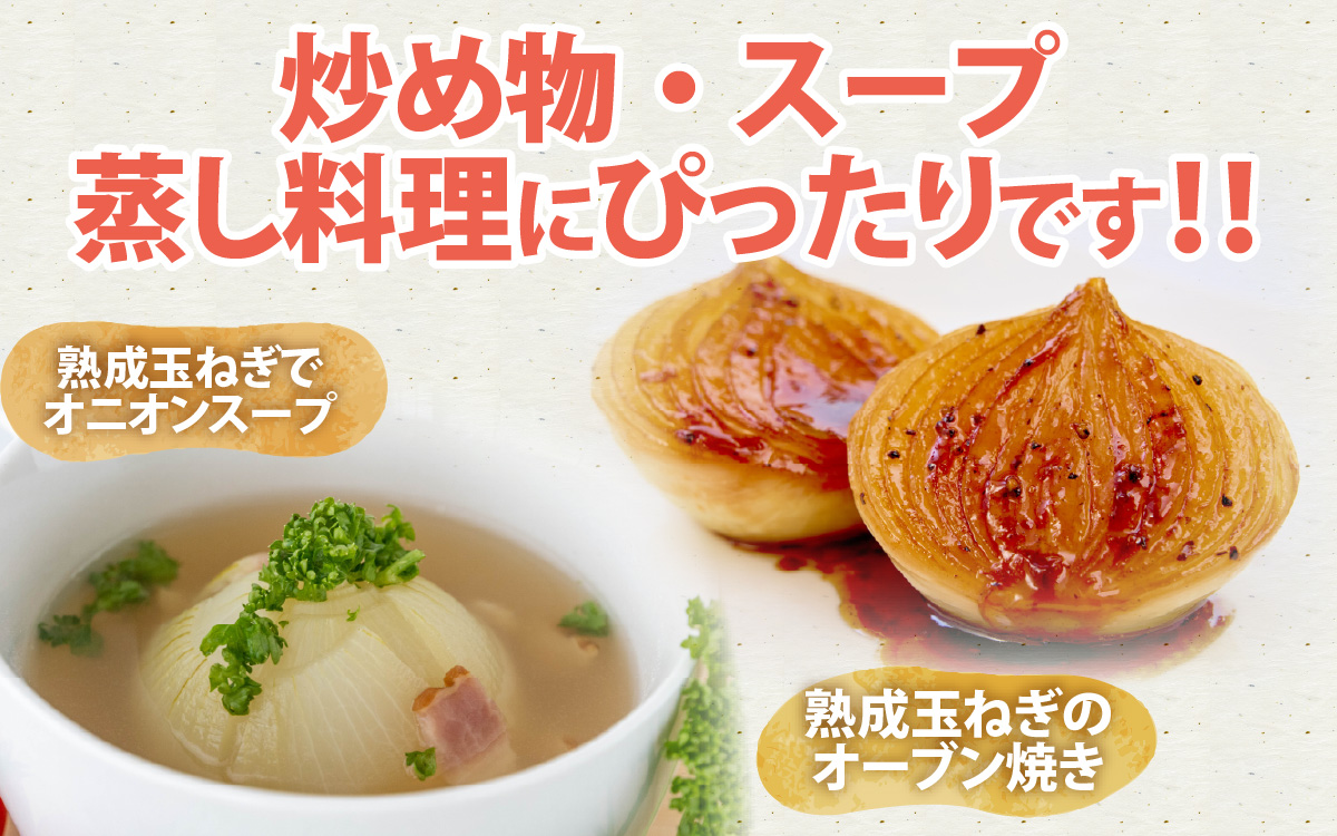 【 6月下旬より順次発送予定 】熟成フルーツ玉ねぎ8kg【サイズ色々】