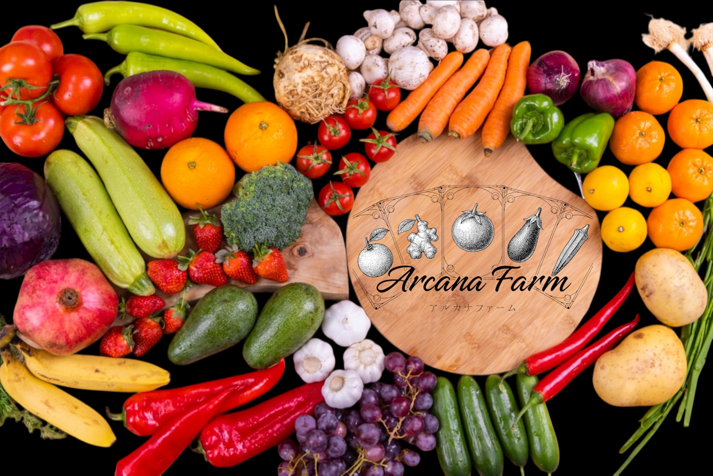 【12回定期便】こだわりの新鮮野菜セット 8~11品目 | 野菜セット 新鮮 野菜 人気 季節の野菜 おすすめ 高知県 南国市