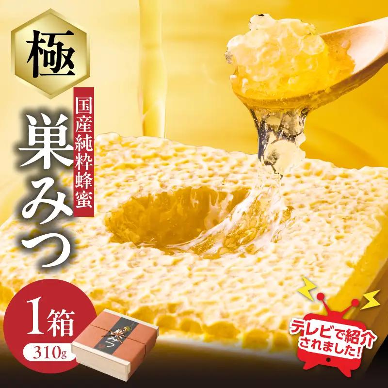  【TVで紹介！】 はちみつ 国産純粋蜂蜜 極巣みつ 310g 非加熱 はちみつ ハチミツ 生はちみつ ローハニー オススメ 贈答 贈り物 プレゼント 八女市 183-005