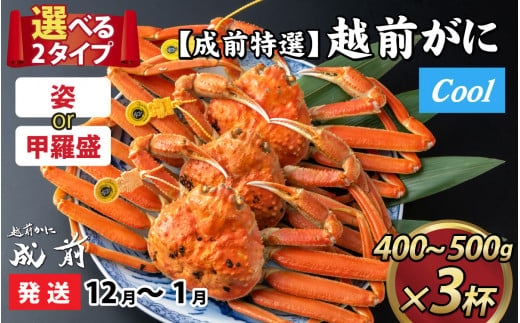 【先行予約】選べる！美味しさ直送【成前特選】 越前がに（400g～500g）×3杯【12月～1月発送】甲羅盛  [L-028066_07]