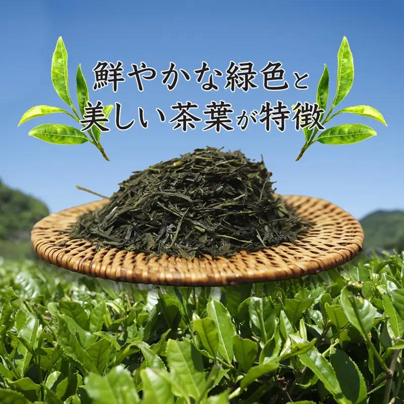 舞鶴茶 上煎茶 2袋 400g /200g×2 | 緑茶 茶葉