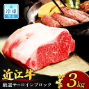 【ふるさと納税】近江牛3kgサーロインブロック 近江牛 厳選ブロック肉 3kg