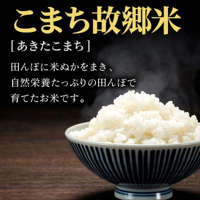 ふるさと納税 秋田市 米 こまち故郷米 あきたこまち 5kg ×1袋 白米 令和7年産|15_kjd-010501 |  | 02