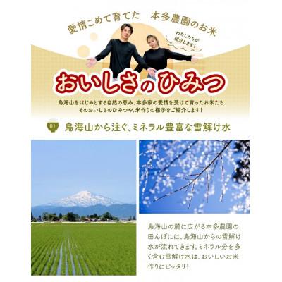 ふるさと納税 酒田市 ひとめぼれ 玄米 10kg(5kg×2袋) 令和7年産米 山形県酒田産 |  | 03