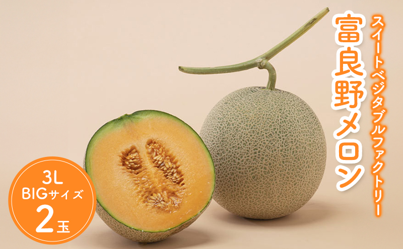 【2026年夏発送】北海道 富良野 メロン 3Lサイズ 2玉 計約4kg フルーツ 果物