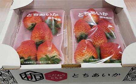 いちごの県フレッシュいちご 大ちゃん農園のいちご(とちあいか)290g×2パック いちご イチゴ 苺 デザート フルーツ 果物 くだもの 果実 食品 F7Z-1718