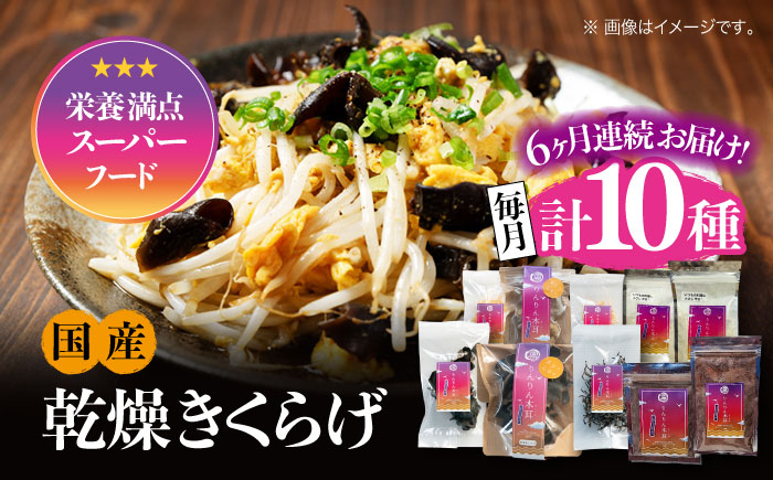 
            【全6回定期便】【栄養満点のスーパーフード！りんりんきくらげ】国産 乾燥 木耳 美容 健康 よくばりセット 計10袋 きくらげ キクラゲ 木耳 きのこ キノコ 食品 食物繊維 野菜 やさい ビタミンD 乾燥 炒め物 ラーメン 便利 密封 安心 安全 美容 健康 腸活 ギフト 国産 広島県産 人気 江田島市/株式会社凛[XCB013]
          