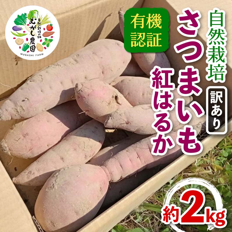【ふるさと納税】 ≪訳あり≫ 有機認証 自然栽培 さつまいも (紅はるか) サイズ 混合 約2kg 【むがし農園】 わけあり ワケアリ 家庭用 サツマイモ 薩摩芋 焼芋 やきいも 焼きいも スイーツ おやつ デザート オーガニック 有機JAS 有機栽培 野菜 青森県 三戸 南部町 F21U-595