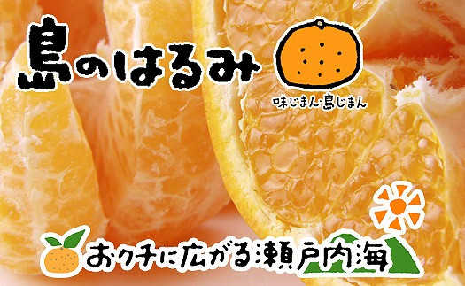 
            【2026年2月中旬から発送予定】希望の島 はるみ 4kg 愛媛 中島産 愛媛県産 みかん
          