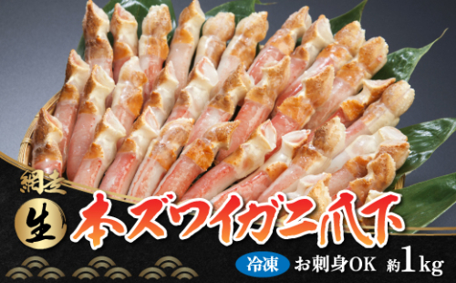 ひとくちサイズ お刺身も出来る！生冷凍ズワイガニ爪下 約1kg（北海道産・ロシア・アメリカ産） ABB014