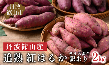 【訳あり】 丹波篠山産 さつまいも 追熟 紅はるか サイズ混合 2kg （M?2L）さつま芋 [CD110]