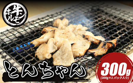 ホルモン 牛肉 小腸 選べる 容量 300g とん牛肉 ホルモン 300g とんちゃん 池田町 焼き肉 牛ホルモン もつ鍋  徳島県 三好市 【 ホルモン 】ちゃん 焼き肉 牛ホルモン 焼肉 ホルモン焼き モツ鍋 もつ鍋 ホルモン 鍋 鍋セット ご飯 米 ビール お酒 おかず ご飯のお供 ご飯が進む 徳島県 三好市 みよし