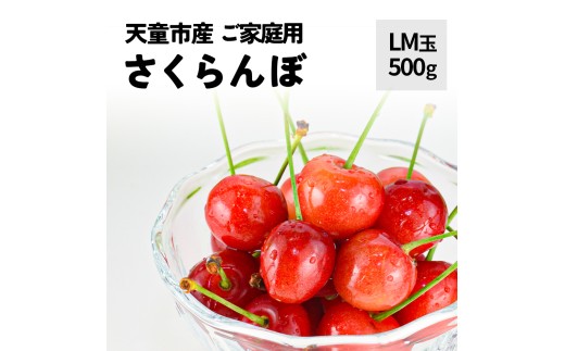 08-10-049　さくらんぼ (品種おまかせ) LM玉 500g ご家庭用
