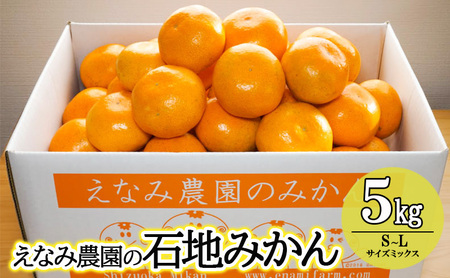 えなみ農園の石地みかん　5kg（S～Lサイズミックス） みかん ミカン 柑橘 果物 くだもの フルーツ 浜松市 静岡