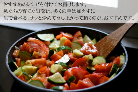 いそベジ農場の季節の野菜詰め合わせセット　定期便　10回便〔IV-10〕