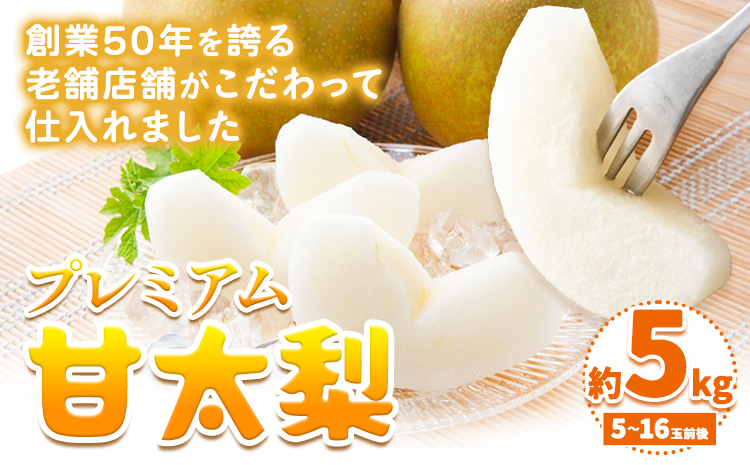 【先行予約】プレミアム 甘太梨 約5kg 5-16玉 高間商店《9月下旬-11月上旬頃出荷》 鳥取県 八頭町 梨 なし ナシ 果物 フルーツ 先行予約 ふるさと納税 送料無料 甘い 果実 果汁 デザート