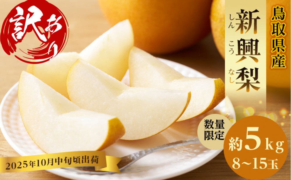 【先行予約】訳あり 数量限定 鳥取県産 新興梨（しんこうなし） 約5kg （8～15玉）≪2026年10月中旬頃出荷≫ 312011_GT002