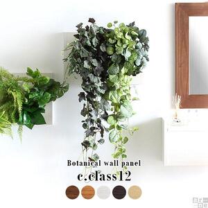 Botanical c.class 12　ブラウン