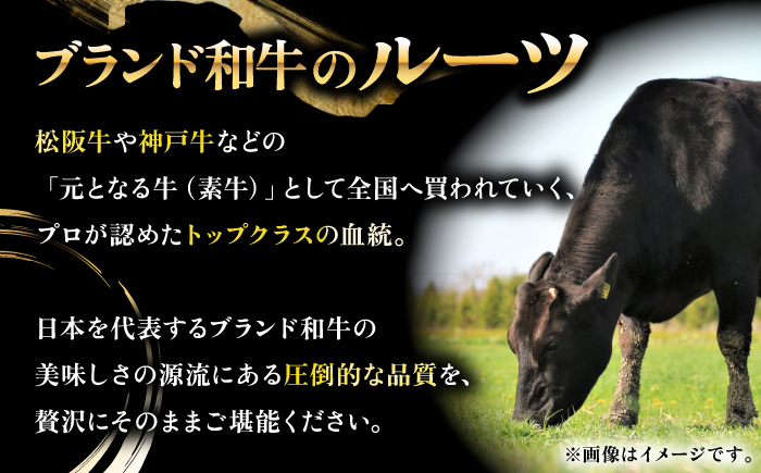 [1食分小分け!] 【黒毛和牛】 壱岐牛 切り落とし 500g（100g×5パック）《壱岐市》【土肥増商店】[JDD043] 国産牛 牛肉 肉 お肉 和牛 ギフト 贈答 ゴチになります 壱岐牛＼ぐるナ
