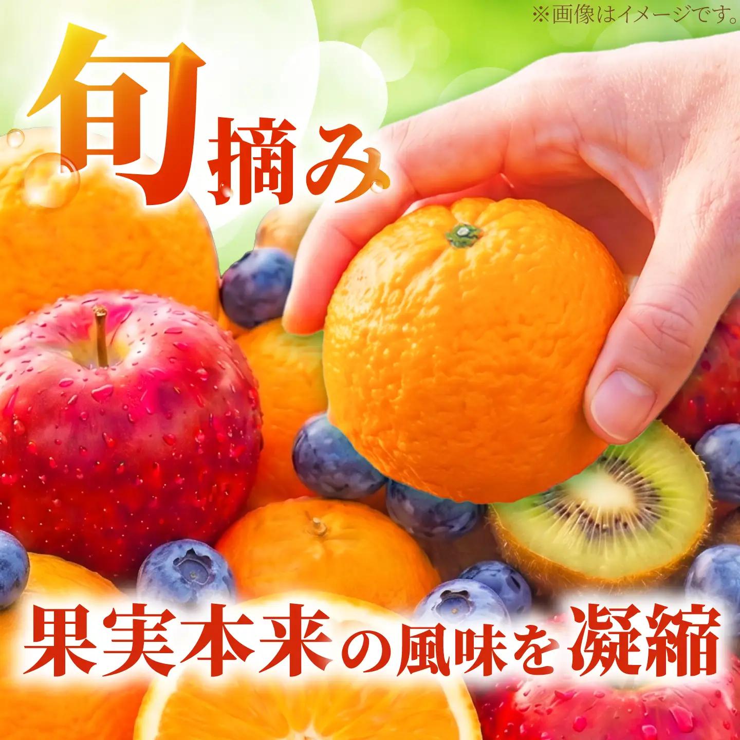 ゼリー カップゼリーまるごと果樹園詰め合わせ 5種12個セット( 伊予柑 みかん りんご キウイフルーツ ブルーベリー )/ 柑橘 ゼリー 果肉 果実 果汁 果物 フルーツ 国産 愛媛県産 スイーツ 