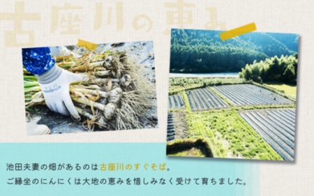 古座川町の恵みが育んだ ご縁座の乾燥にんにく 200g / にんにく 乾燥にんにく ガーリック【gnz106】