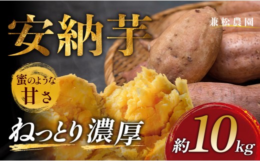 さつまいも 熟成 安納芋 約10kg 焼き芋 焼芋 やきいも ねっとり 濃厚 蜜芋 芋 おいも サツマイモ さつま芋 安納いも スイーツ おやつ 国産 産地直送 栽培期間中農薬不使用 高知県 大月町産