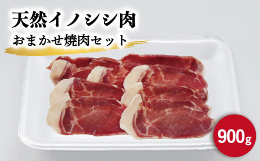 ジビエ 天然イノシシ肉 おまかせ焼肉セット 900g （ロース・モモ・バラ）【照本食肉加工所】 [OAJ005] / 肉 猪 猪肉 イノシシ イノシシ肉 いのしし しし肉 しし鍋 ボタン鍋 ジビエ