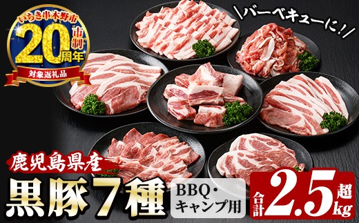 【家計応援】恵味の黒豚 BBQ・キャンプ用セット(7種・合計2.5kg超！)  冷凍 小分け 国産 鹿児島県産 黒豚 BBQ や キャンプ に ピッタリな7種セット！大容量！【CP-005H】