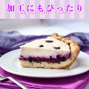 訳あり 冷凍ブルーベリー 約 1kg ブルーベリー