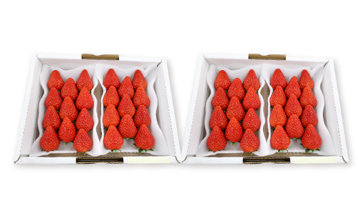 紅ほっぺセット(4パック　約1040g)　甘さと酸味がほどよく後味爽やかないちご【配送不可地域：離島・北海道・沖縄県・四国・九州】