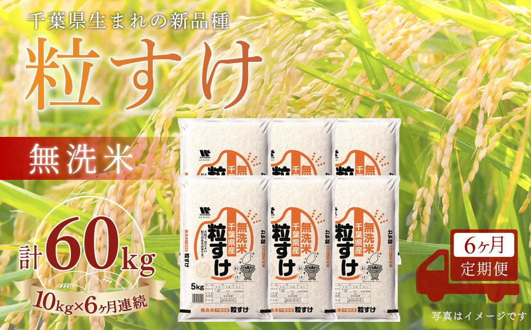 
                  ＜6か月定期便＞ 千葉県産「粒すけ」無洗米 10kg×6か月連続 計60kg
                