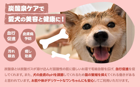 トリミング チケット 6,000円分