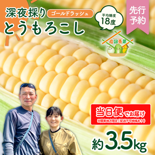 【関東+山梨県 限定当日便】【先行予約 2026年6月中旬以降発送 】 【 令和8年産 】 深夜採り 朝出荷 とうもろこし （ ゴールドラッシュ ） 約3.5kg トウモロコシ スイートコーン コーン 野菜 産地直送 期間限定 極甘 岩田さん 昼めし旅 [AX065ya]
