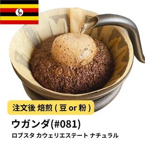 【豆】コーヒー #081 ウガンダ ロブスタ カウェリエステート ナチュラル 310g 当日焙煎 大山珈琲