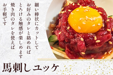 【年内発送】赤身 馬刺し ブロック 計200g（100g×2パック）冷凍真空パック【 熊本県 多良木町 たらぎ 馬肉 馬刺し 冷凍 真空 熊本肥育 年内配送 年内 年末年始 041-0134