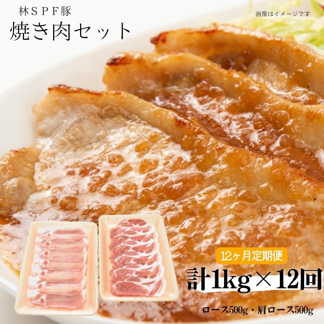 【ふるさと納税】【12ヶ月定期便】林SPF豚 焼き肉セット 1kg×12回 ロース500g・肩ロース500g 豚肉 豚 ロース 肩ロース 柔らかい 旨味 甘み 焼肉 焼き肉 やきにく 冷凍 詰め合わせ 千葉県 東庄町