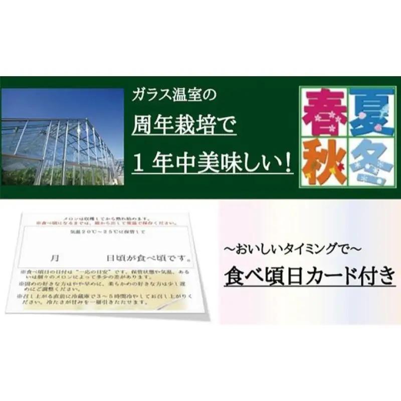 メロン 数量限定 クラウン 富士等級 2玉 箱入 メロン