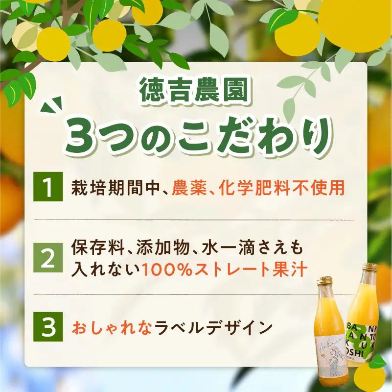S178-001_ストレートジュース温州みかん・天草晩柑飲み比べセット