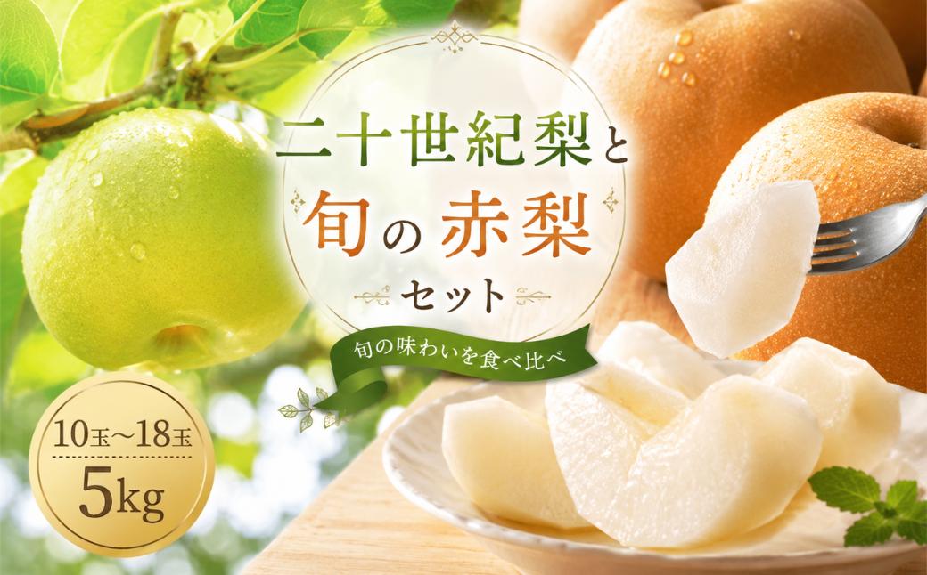 二十世紀梨と旬の赤梨セット 5kg