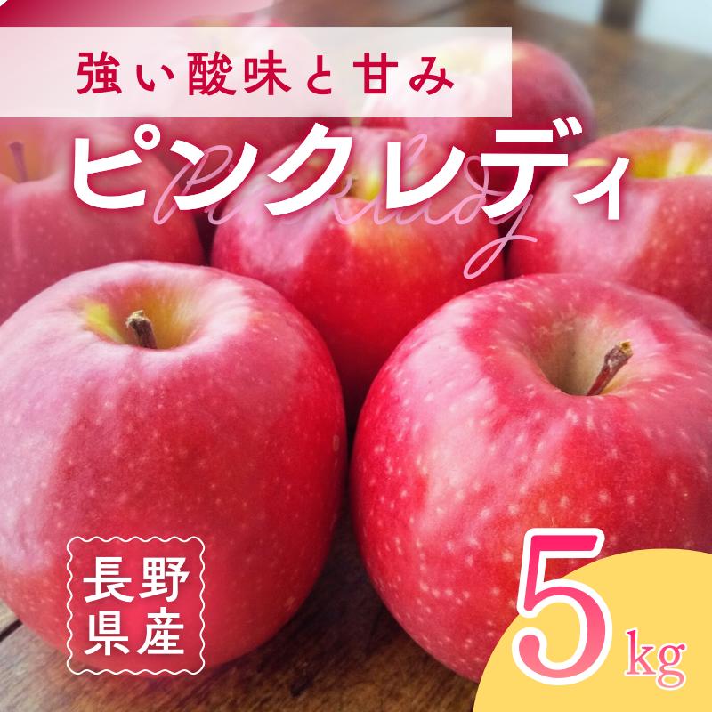 【ふるさと納税】ピンクレディー(R)　5kg　りんご リンゴ 林檎 果物 フルーツ 長野　お届け：2026年12月上旬～2027年2月中旬まで