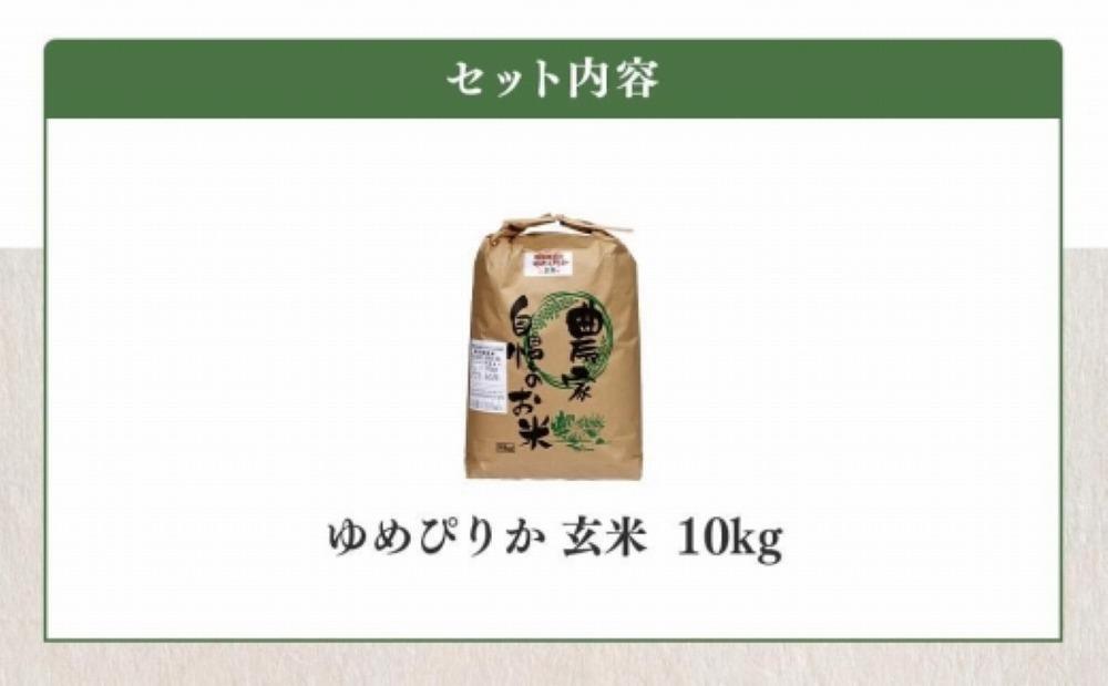 【令和6年産】伊藤農園の特別栽培米ゆめぴりか 玄米（10kg）